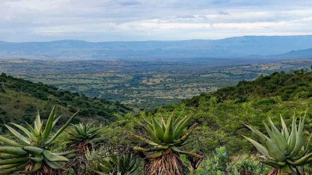 Loziba Wildlife Reserve Tented Camp